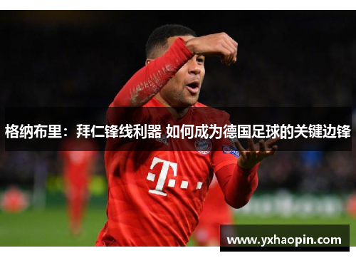 格纳布里:拜仁锋线利器 如何成为德国足球的关键边锋 格纳布里:拜仁锋线利器 如何成为德国足球的关键边锋