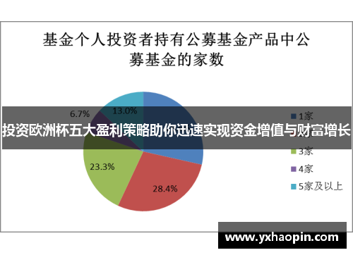 投资欧洲杯五大盈利策略助你迅速实现资金增值与财富增长