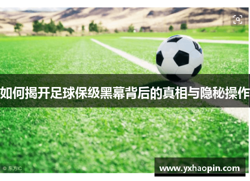 如何揭开足球保级黑幕背后的真相与隐秘操作