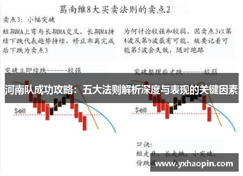 河南队成功攻略：五大法则解析深度与表现的关键因素